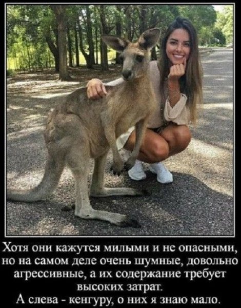 file_99022743