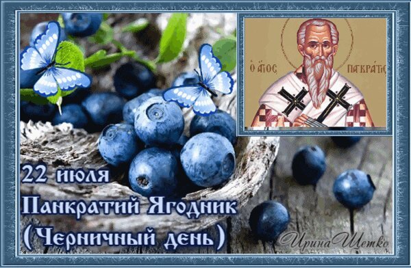Открытка панкратий ягодник черничный