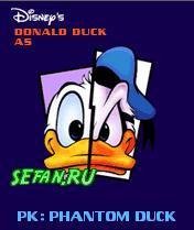 Phantom Duck 240 en nok