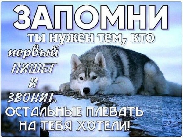 Запомни