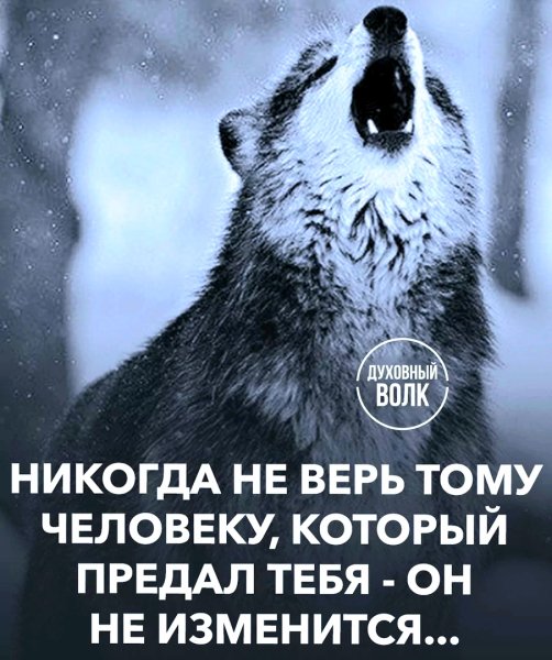 file_99841643