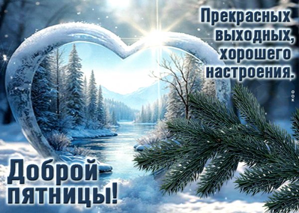 IMG 20260208 010620