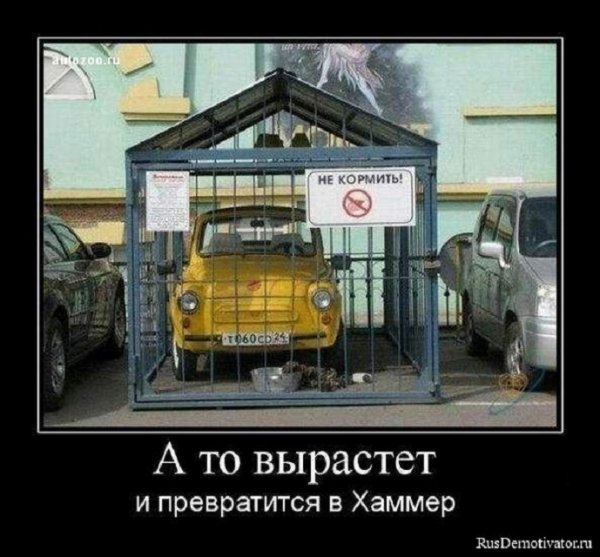 Не кормить...
