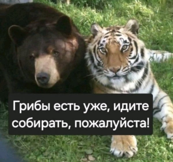 file_100870963