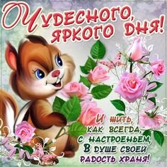 IMG 20190122 789065