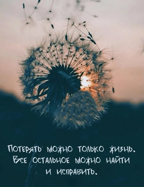 Aa6uzTqu7V0