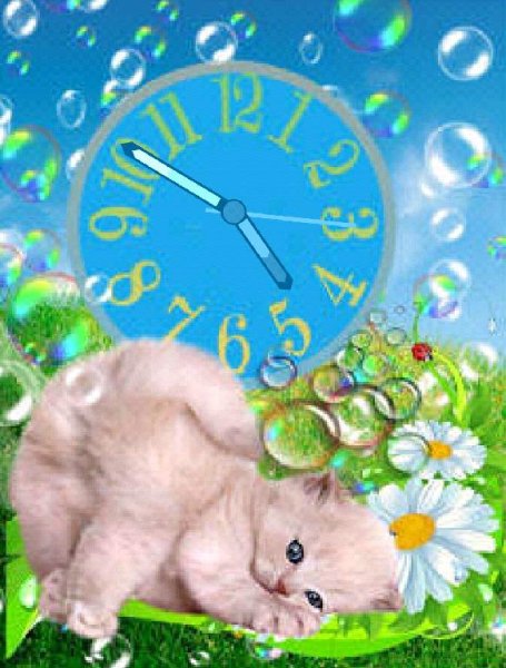 Котик
