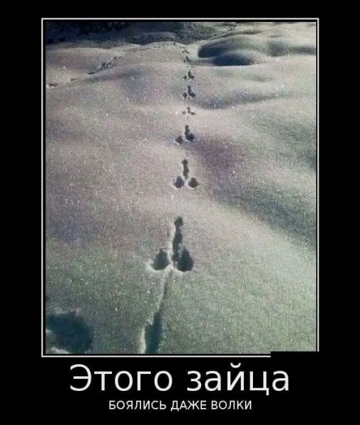 file_97754993