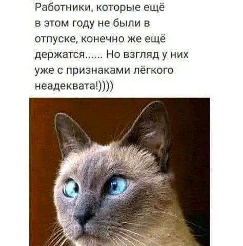 file_103267796
