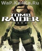 Tomb Rider 3D