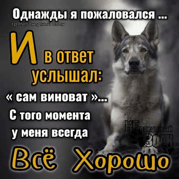 IMG 20260503 055454