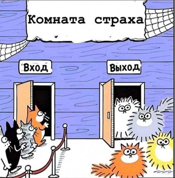 FB IMG 1761679989994