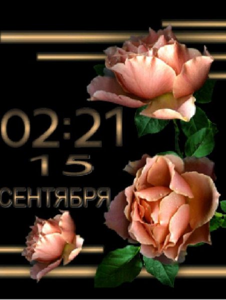 Розы