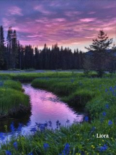 file_63346002