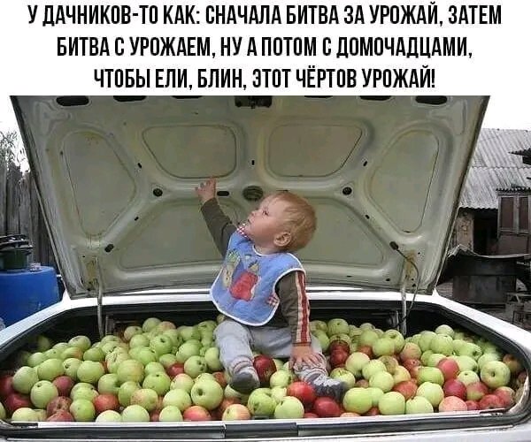 file_103411792