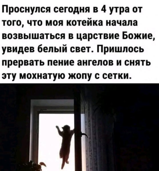 file_103260382