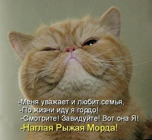 c8tr7Dx9A2dV3SuCHb8pAw. 000