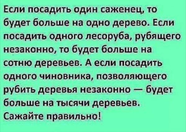 Саженец