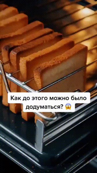 IMG 20230810 031556
