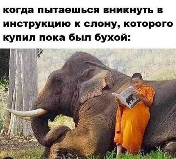 file_100741351