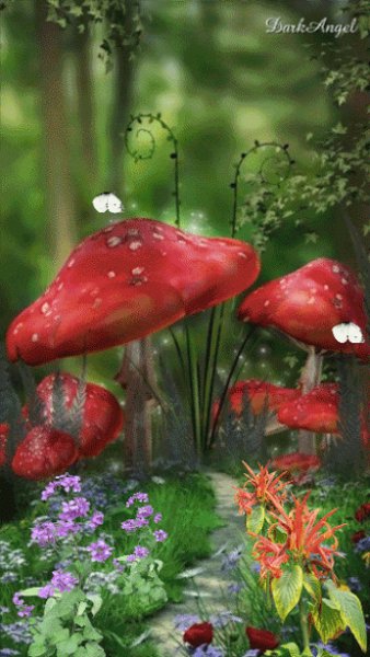 Мухомор