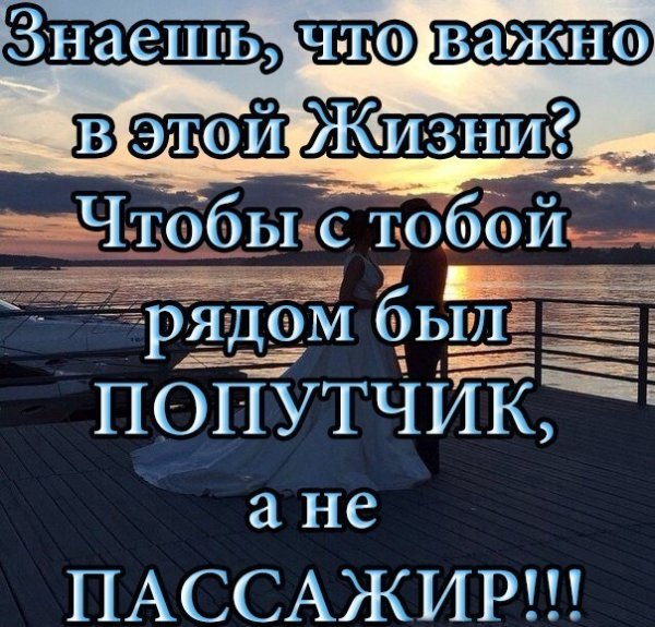 Попутчик ты или пассажир?