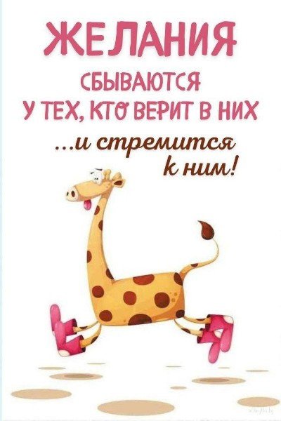 file_94859202