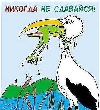 не сдавайся
