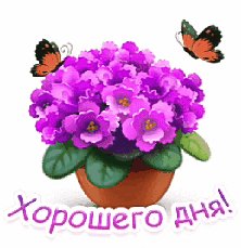 IMG 20180208 160909 0