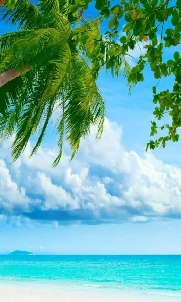 Seascapes Ocean sea