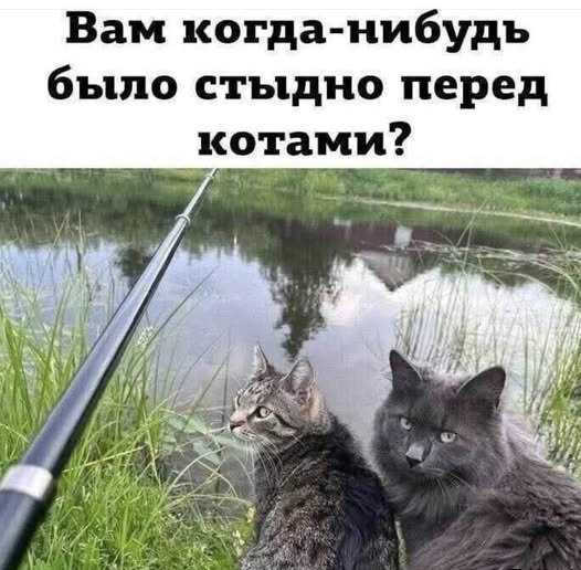 file_101174496