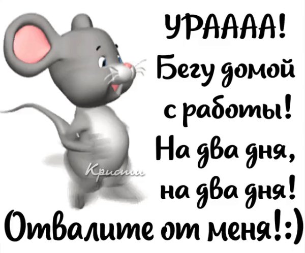 Бегу домой