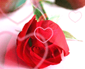 roza