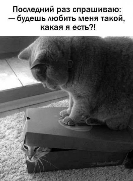 FB IMG 1738701609171