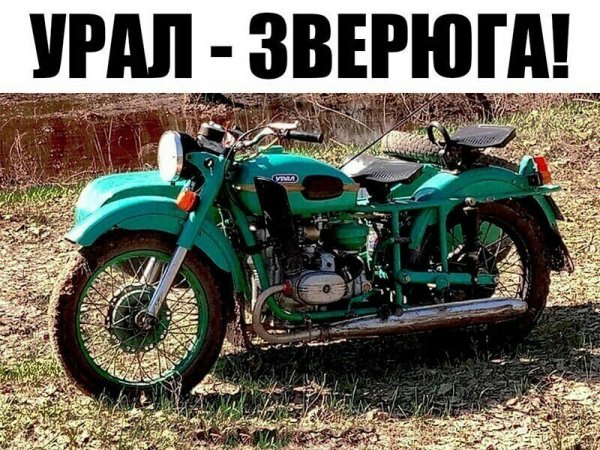 file_87950092