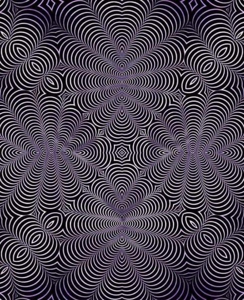 FB IMG 1637490831838-