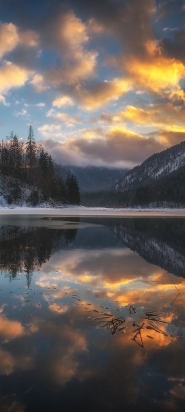 file_101552440