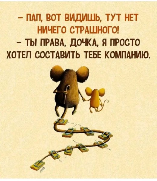 FB IMG 16755761909211012