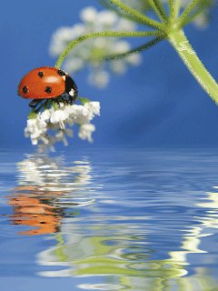 file_46355894