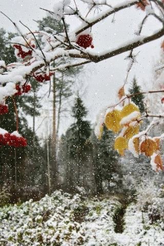 file_94916753