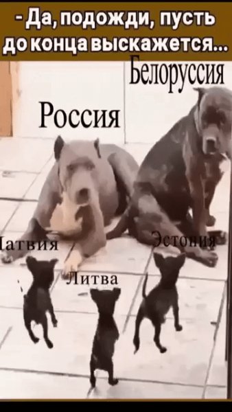 IMG 20230709 094019