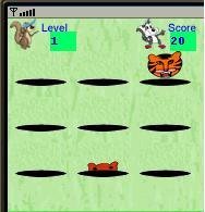 Whack The Tiger