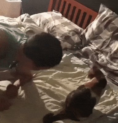 ))