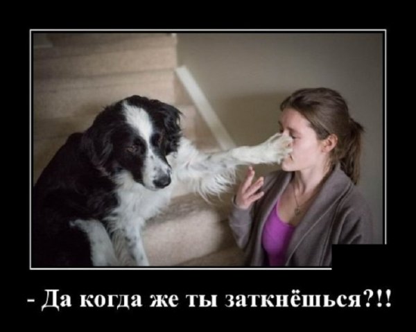 Когда же ты заткнёшься?