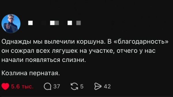 file_103234487