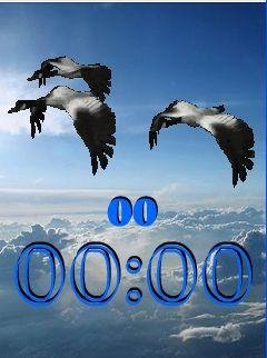 BIRDS IN SKY