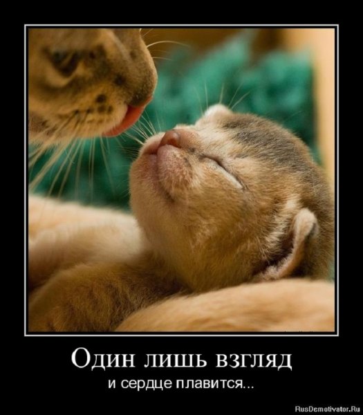 Взгляд