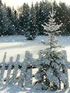 file_59718541
