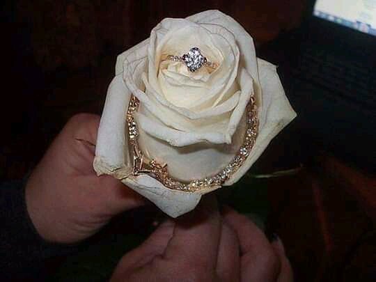 FB IMG 15858311444901045