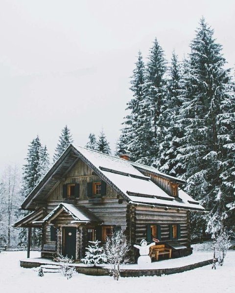 file_101757595